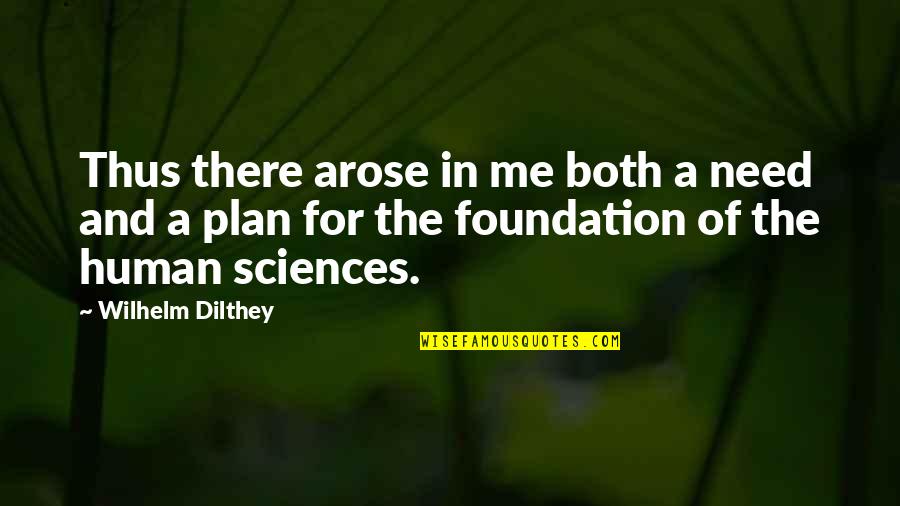 A Plan Quotes By Wilhelm Dilthey: Thus there arose in me both a need A Plan Quotes By Wilhelm Dilthey: Thus there arose in me both a need