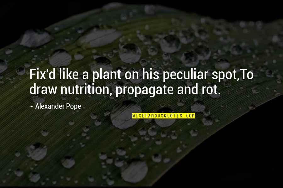 A Plant Quotes By Alexander Pope: Fix'd like a plant on his peculiar spot,To