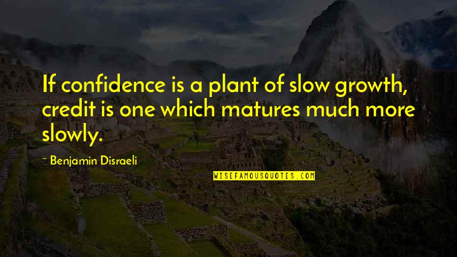 A Plant Quotes By Benjamin Disraeli: If confidence is a plant of slow growth,