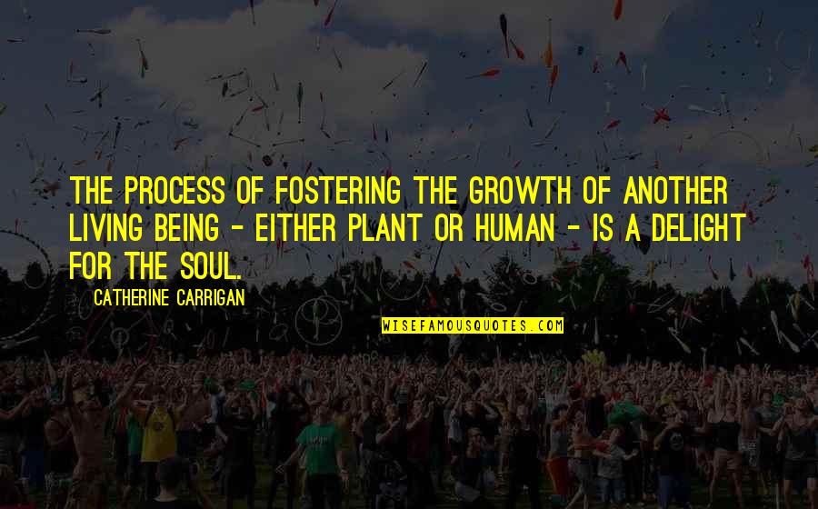 A Plant Quotes By Catherine Carrigan: The process of fostering the growth of another