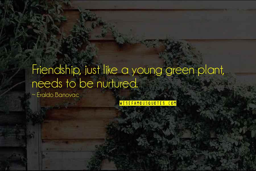 A Plant Quotes By Eraldo Banovac: Friendship, just like a young green plant, needs