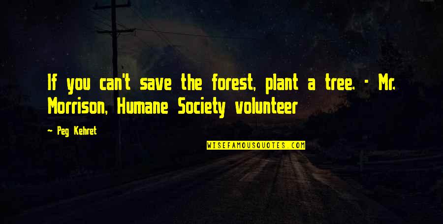 A Plant Quotes By Peg Kehret: If you can't save the forest, plant a