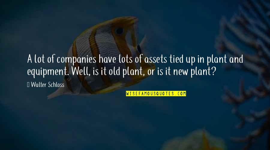 A Plant Quotes By Walter Schloss: A lot of companies have lots of assets
