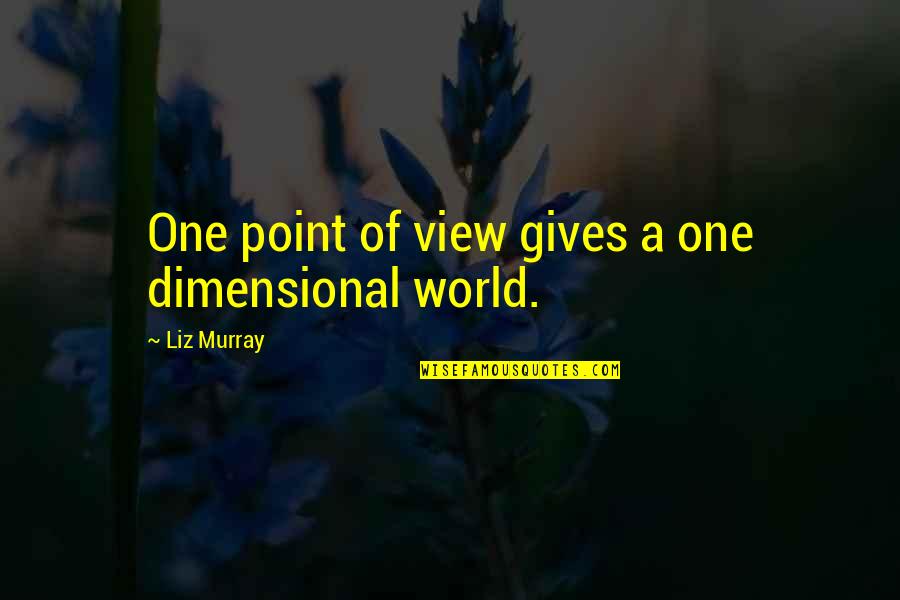 A Point Of View Quotes By Liz Murray: One point of view gives a one dimensional