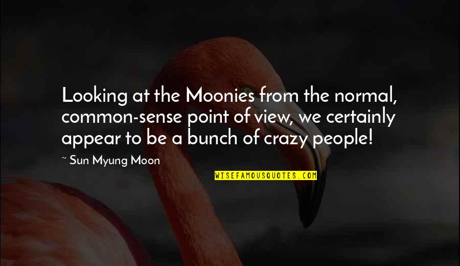 A Point Of View Quotes By Sun Myung Moon: Looking at the Moonies from the normal, common-sense