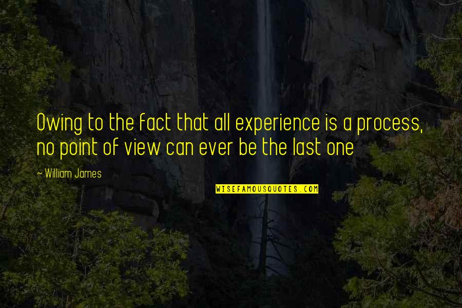 A Point Of View Quotes By William James: Owing to the fact that all experience is