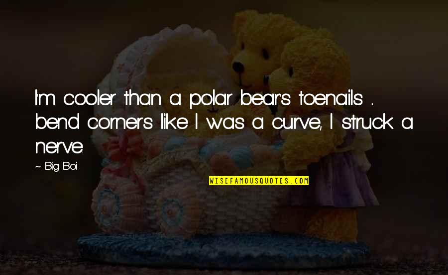 A Polar Bear Quotes By Big Boi: I'm cooler than a polar bear's toenails ...