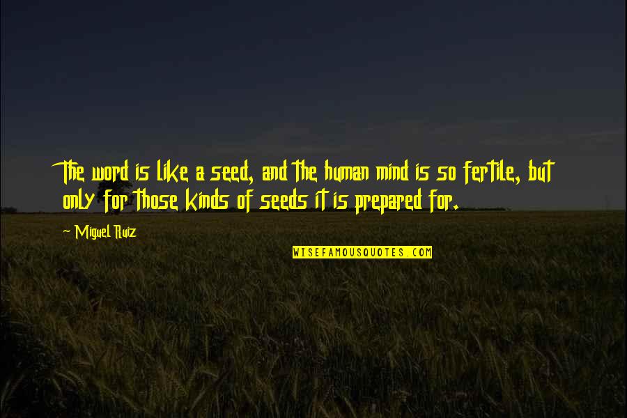 A Prepared Mind Quotes By Miguel Ruiz: The word is like a seed, and the