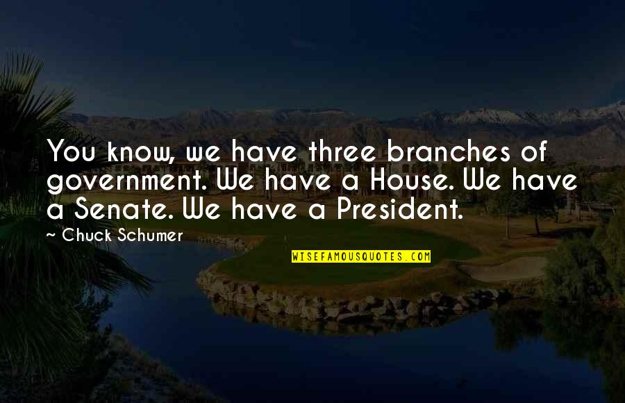 A President Quotes By Chuck Schumer: You know, we have three branches of government.