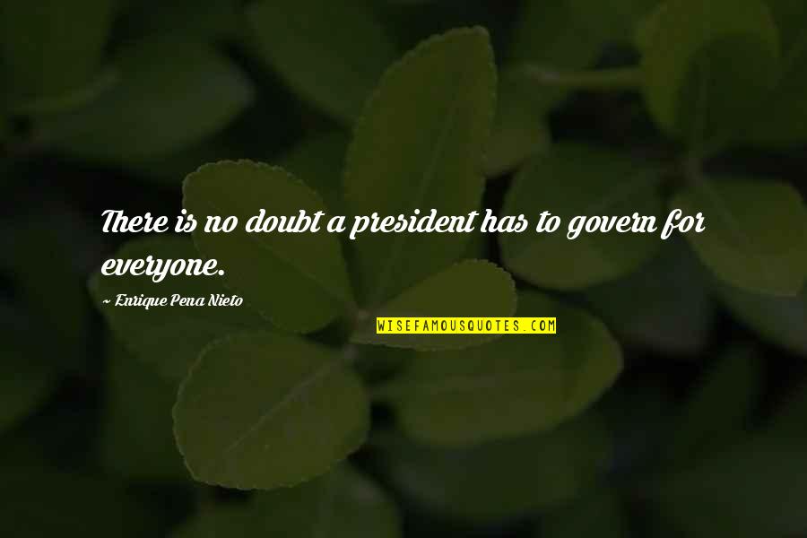 A President Quotes By Enrique Pena Nieto: There is no doubt a president has to