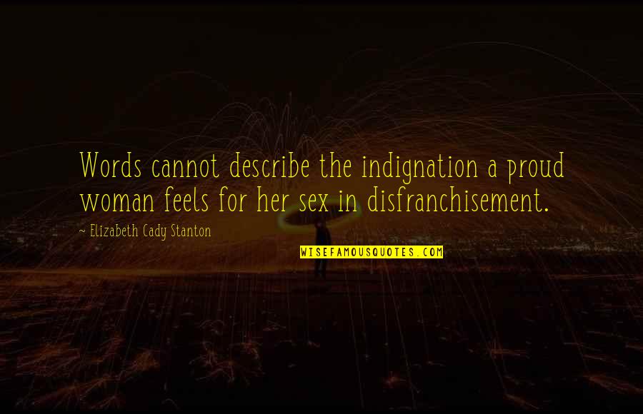 A Proud Woman Quotes By Elizabeth Cady Stanton: Words cannot describe the indignation a proud woman