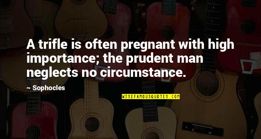 A Prudent Man Quotes By Sophocles: A trifle is often pregnant with high importance;