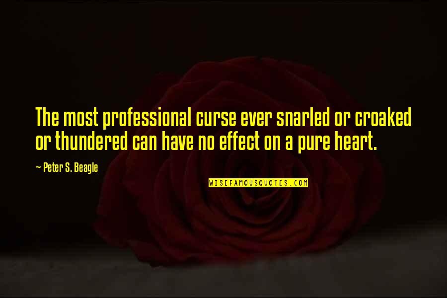 A Pure Heart Quotes By Peter S. Beagle: The most professional curse ever snarled or croaked