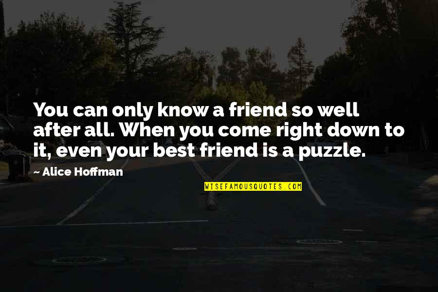 A Puzzle Quotes By Alice Hoffman: You can only know a friend so well
