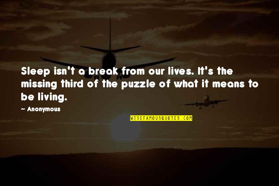 A Puzzle Quotes By Anonymous: Sleep isn't a break from our lives. It's