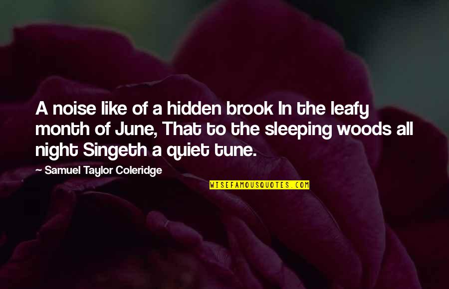 A Quiet Night Quotes By Samuel Taylor Coleridge: A noise like of a hidden brook In