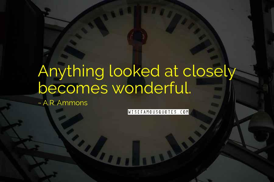 A.R. Ammons quotes: Anything looked at closely becomes wonderful.