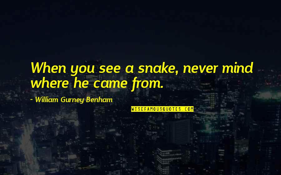 A R Gurney Quotes By William Gurney Benham: When you see a snake, never mind where