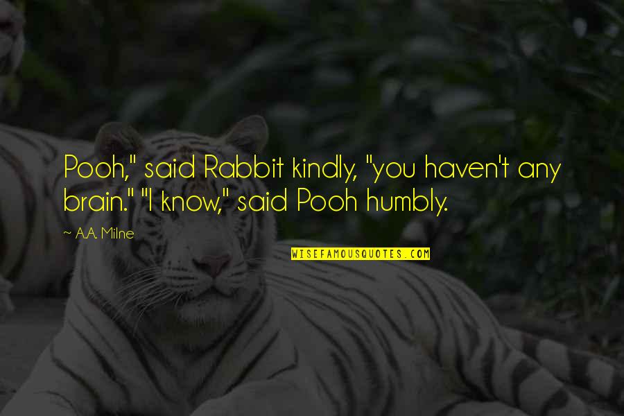 A Rabbit Quotes By A.A. Milne: Pooh," said Rabbit kindly, "you haven't any brain."