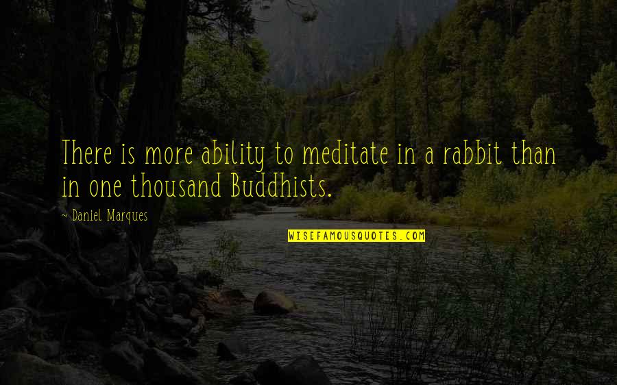 A Rabbit Quotes By Daniel Marques: There is more ability to meditate in a
