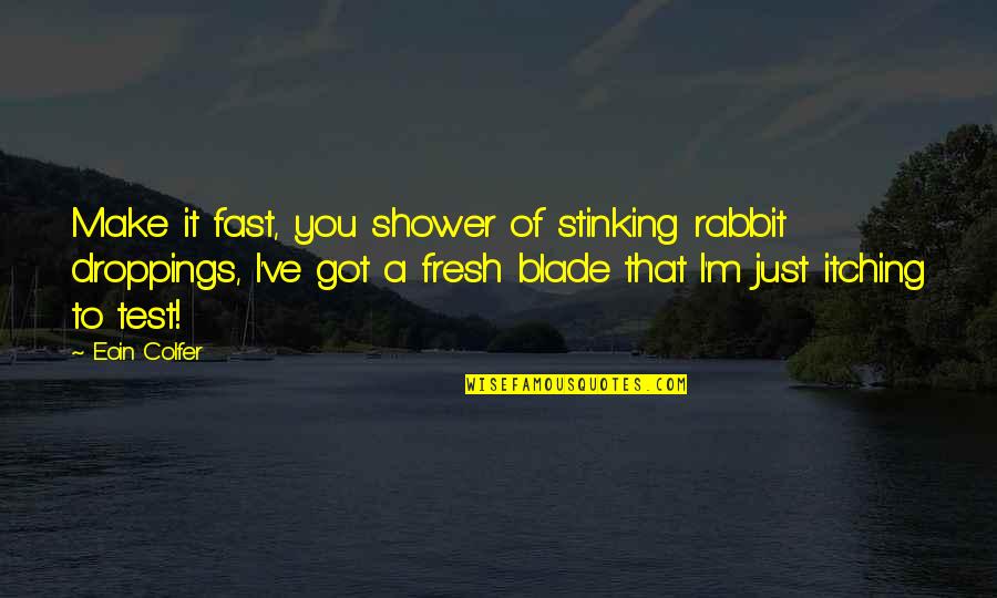 A Rabbit Quotes By Eoin Colfer: Make it fast, you shower of stinking rabbit