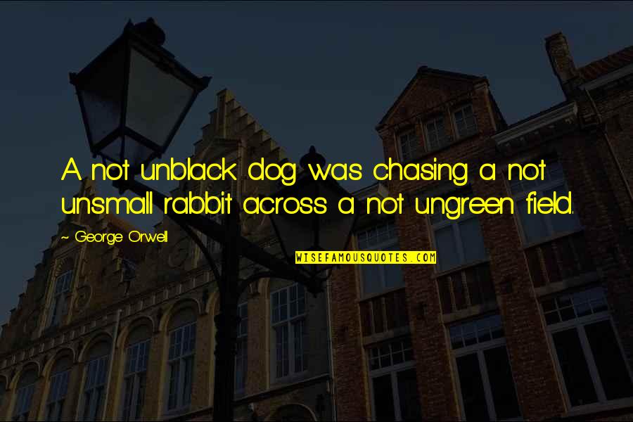 A Rabbit Quotes By George Orwell: A not unblack dog was chasing a not
