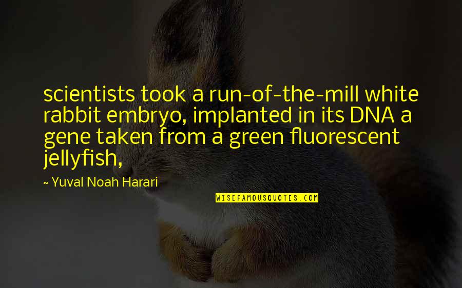 A Rabbit Quotes By Yuval Noah Harari: scientists took a run-of-the-mill white rabbit embryo, implanted