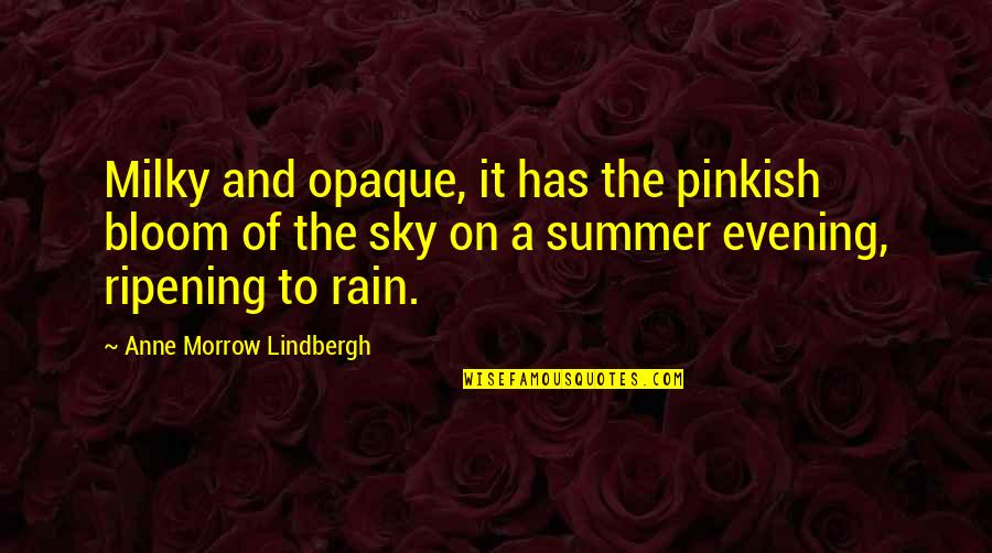 A Rain Quotes By Anne Morrow Lindbergh: Milky and opaque, it has the pinkish bloom