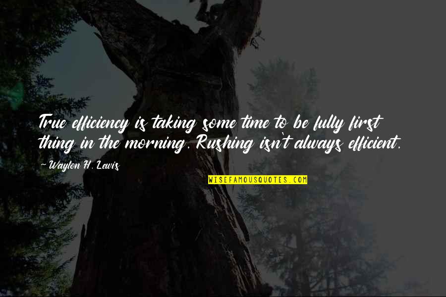 A Raisin In The Sun Act 3 Quotes By Waylon H. Lewis: True efficiency is taking some time to be