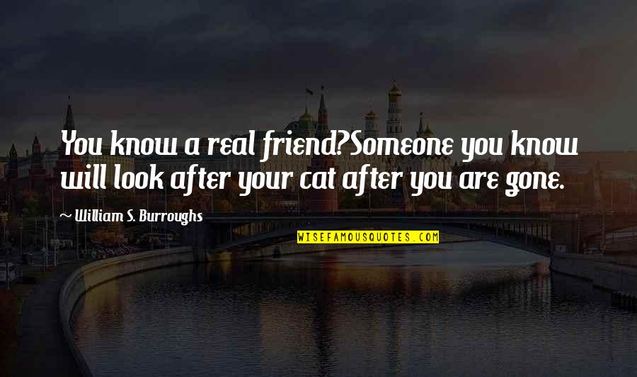 A Real Friend Quotes By William S. Burroughs: You know a real friend?Someone you know will