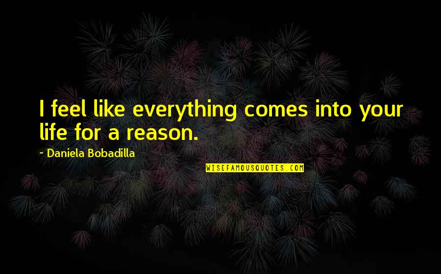 A Reason For Everything Quotes By Daniela Bobadilla: I feel like everything comes into your life
