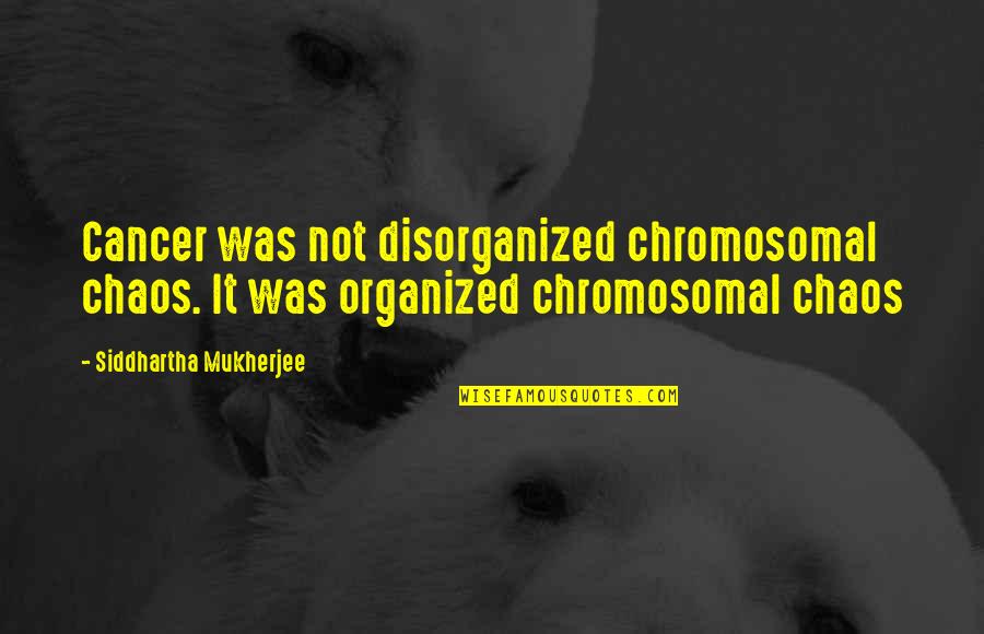 A Restart Quotes By Siddhartha Mukherjee: Cancer was not disorganized chromosomal chaos. It was