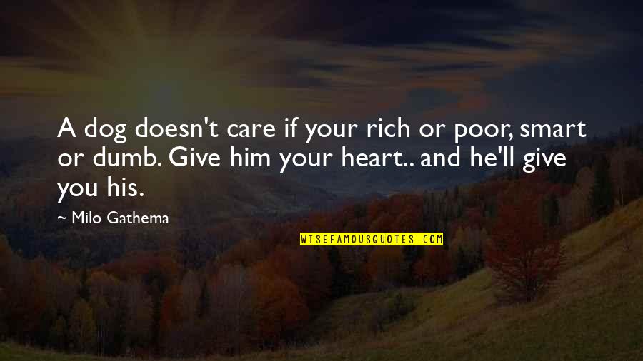 A Rich Heart Quotes By Milo Gathema: A dog doesn't care if your rich or