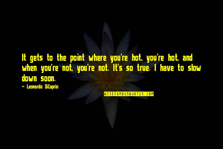 A Rising Star Quotes By Leonardo DiCaprio: It gets to the point where you're hot,