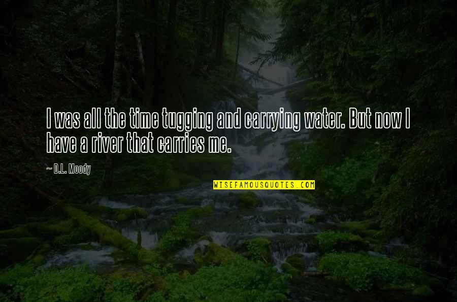 A River Of Life Quotes By D.L. Moody: I was all the time tugging and carrying