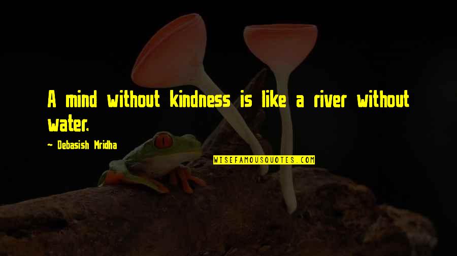 A River Of Life Quotes By Debasish Mridha: A mind without kindness is like a river