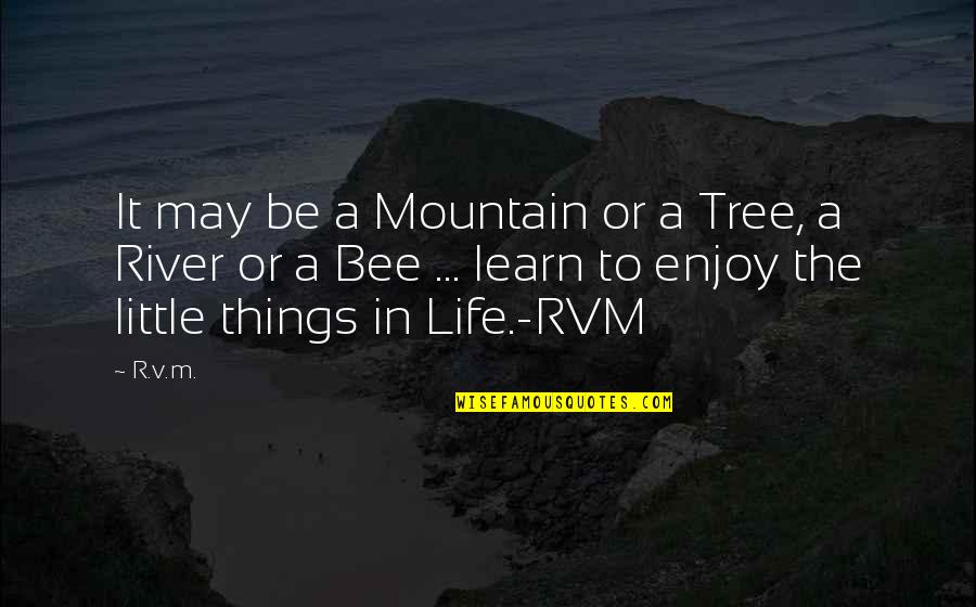 A River Of Life Quotes By R.v.m.: It may be a Mountain or a Tree,