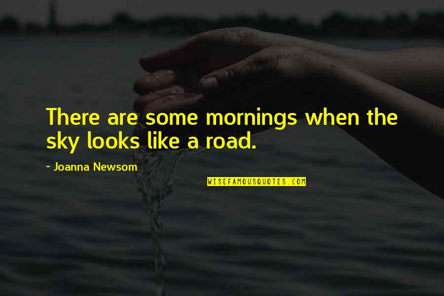 A Road Quotes By Joanna Newsom: There are some mornings when the sky looks