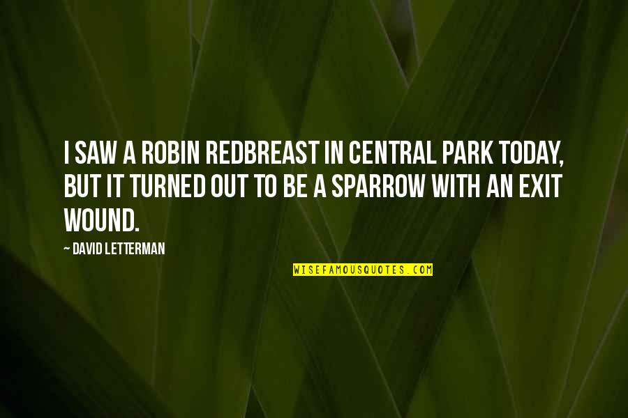 A Robin Quotes By David Letterman: I saw a robin redbreast in Central Park