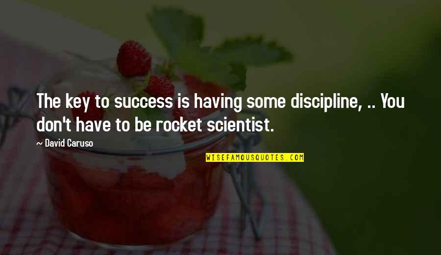 A Rocket Scientist Quotes By David Caruso: The key to success is having some discipline,