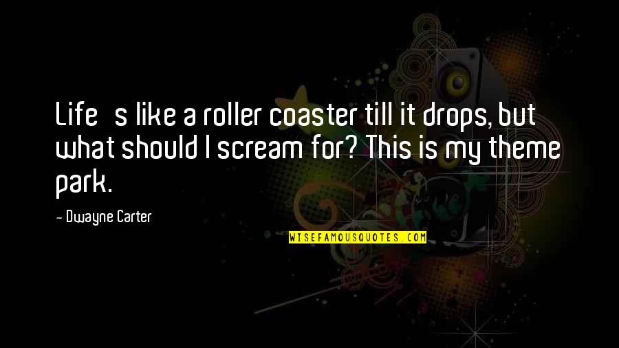 A Roller Coaster Life Quotes By Dwayne Carter: Life's like a roller coaster till it drops,