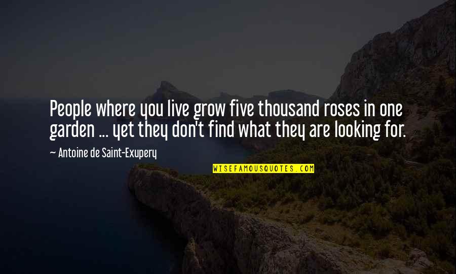 A Rose Garden Quotes By Antoine De Saint-Exupery: People where you live grow five thousand roses A Rose Garden Quotes By Antoine De Saint-Exupery: People where you live grow five thousand roses