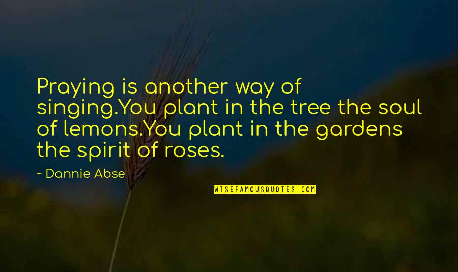 A Rose Garden Quotes By Dannie Abse: Praying is another way of singing.You plant in A Rose Garden Quotes By Dannie Abse: Praying is another way of singing.You plant in