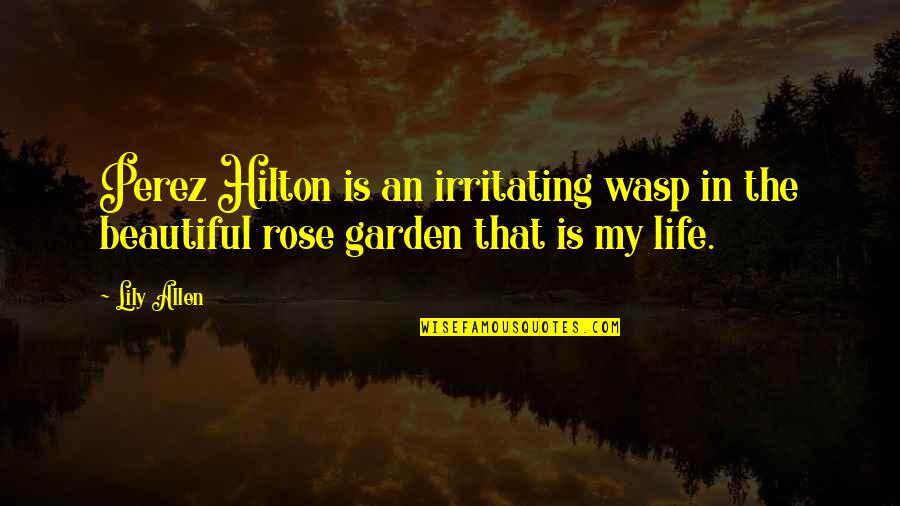 A Rose Garden Quotes By Lily Allen: Perez Hilton is an irritating wasp in the
