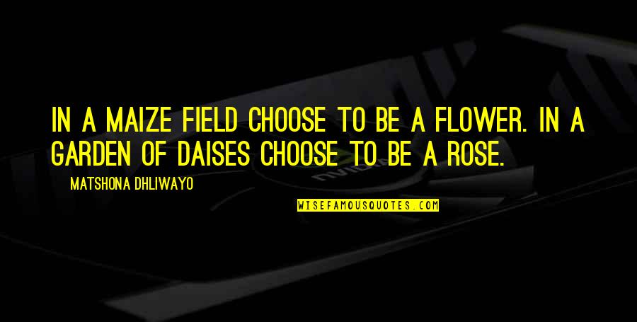 A Rose Garden Quotes By Matshona Dhliwayo: In a maize field choose to be a A Rose Garden Quotes By Matshona Dhliwayo: In a maize field choose to be a