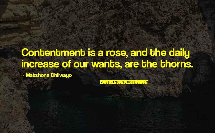 A Rose Quotes By Matshona Dhliwayo: Contentment is a rose, and the daily increase