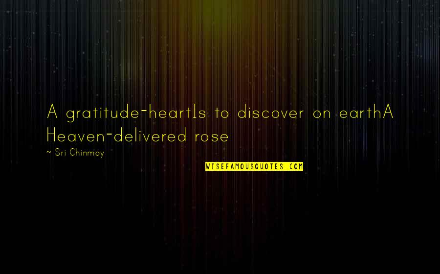 A Rose Quotes By Sri Chinmoy: A gratitude-heartIs to discover on earthA Heaven-delivered rose