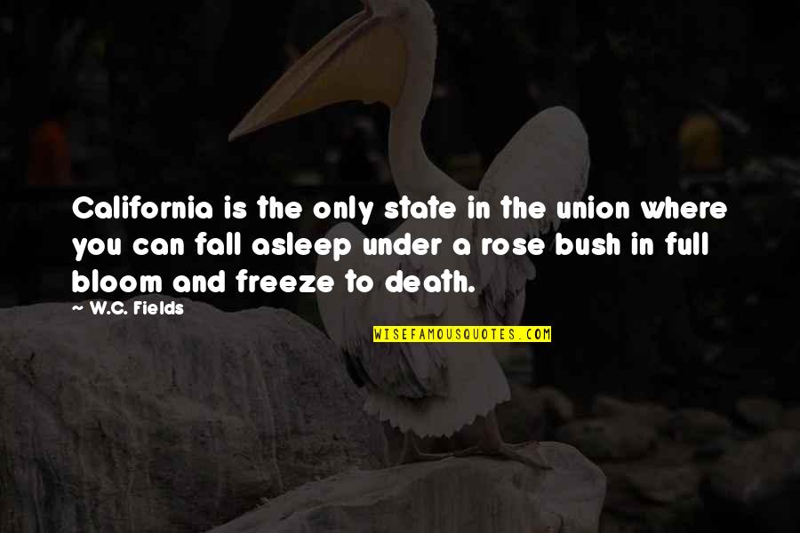 A Rose Quotes By W.C. Fields: California is the only state in the union