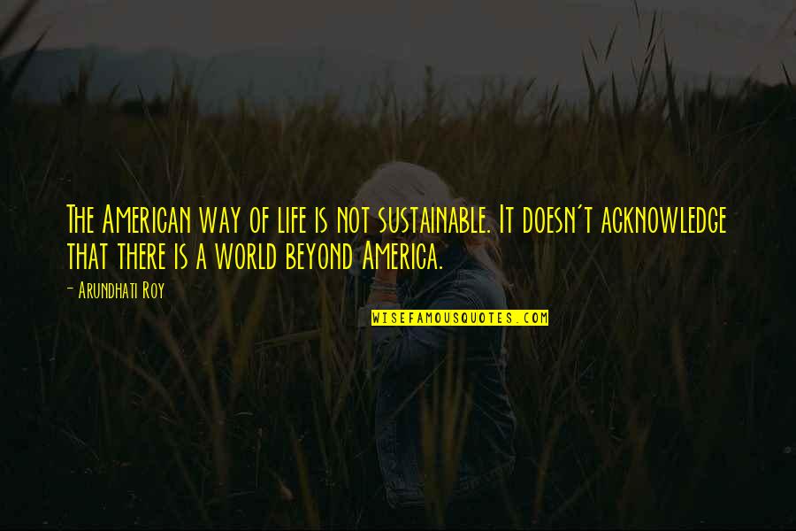 A Roy Quotes By Arundhati Roy: The American way of life is not sustainable.