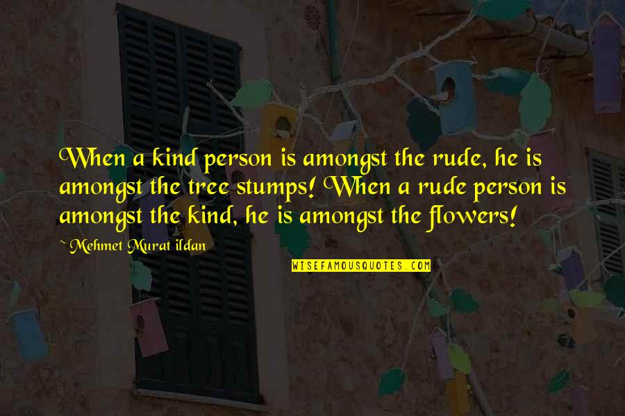 A Rude Person Quotes By Mehmet Murat Ildan: When a kind person is amongst the rude,
